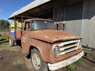 Lot 52