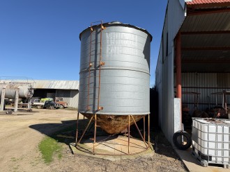 Lot 55