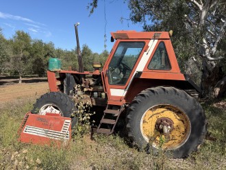 Lot 12