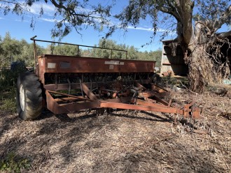 Lot 37