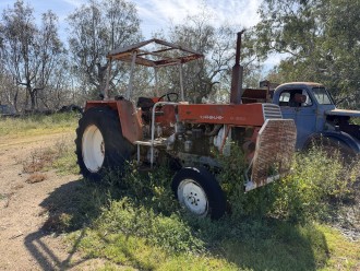 Lot 24