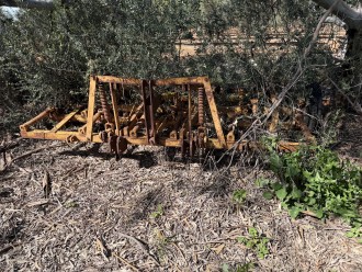 Lot 49