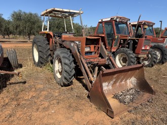 Lot 16