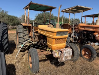 Lot 28
