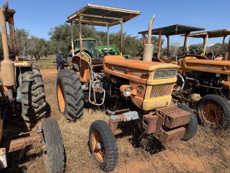 Lot 20