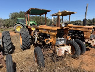 Lot 21