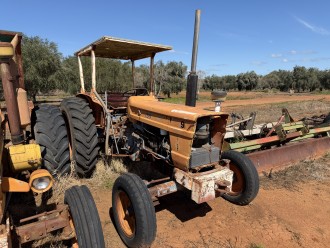 Lot 17