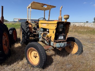Lot 14