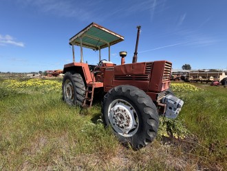 Lot 19