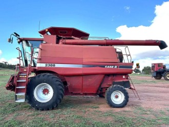 Lot 31