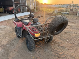 Lot 31