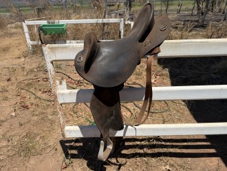 Lot 113