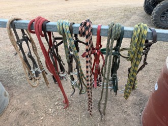 Lot 133